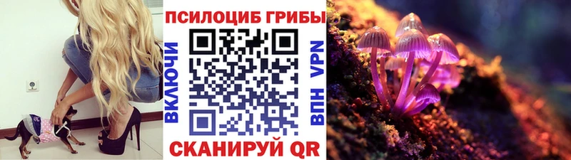 закладки  Карабаш  гидра ссылки  Галлюциногенные грибы Psilocybine cubensis 